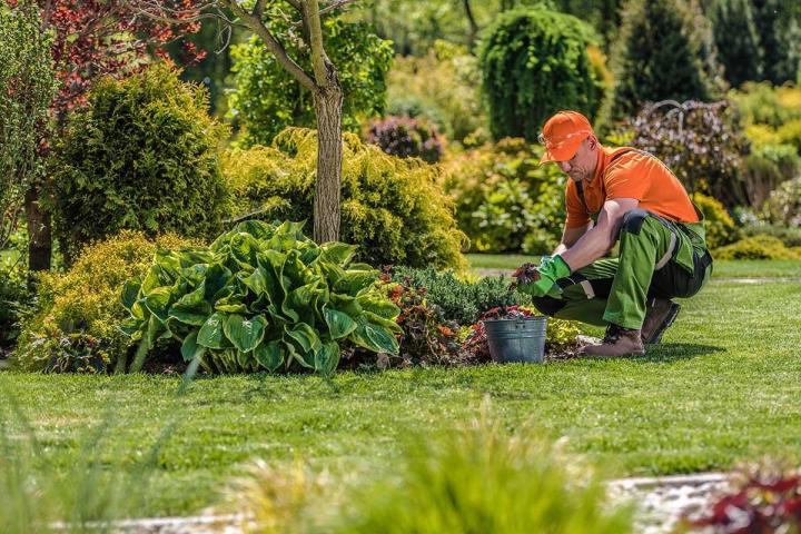 Une entreprise de création de jardin au Pays de Gex